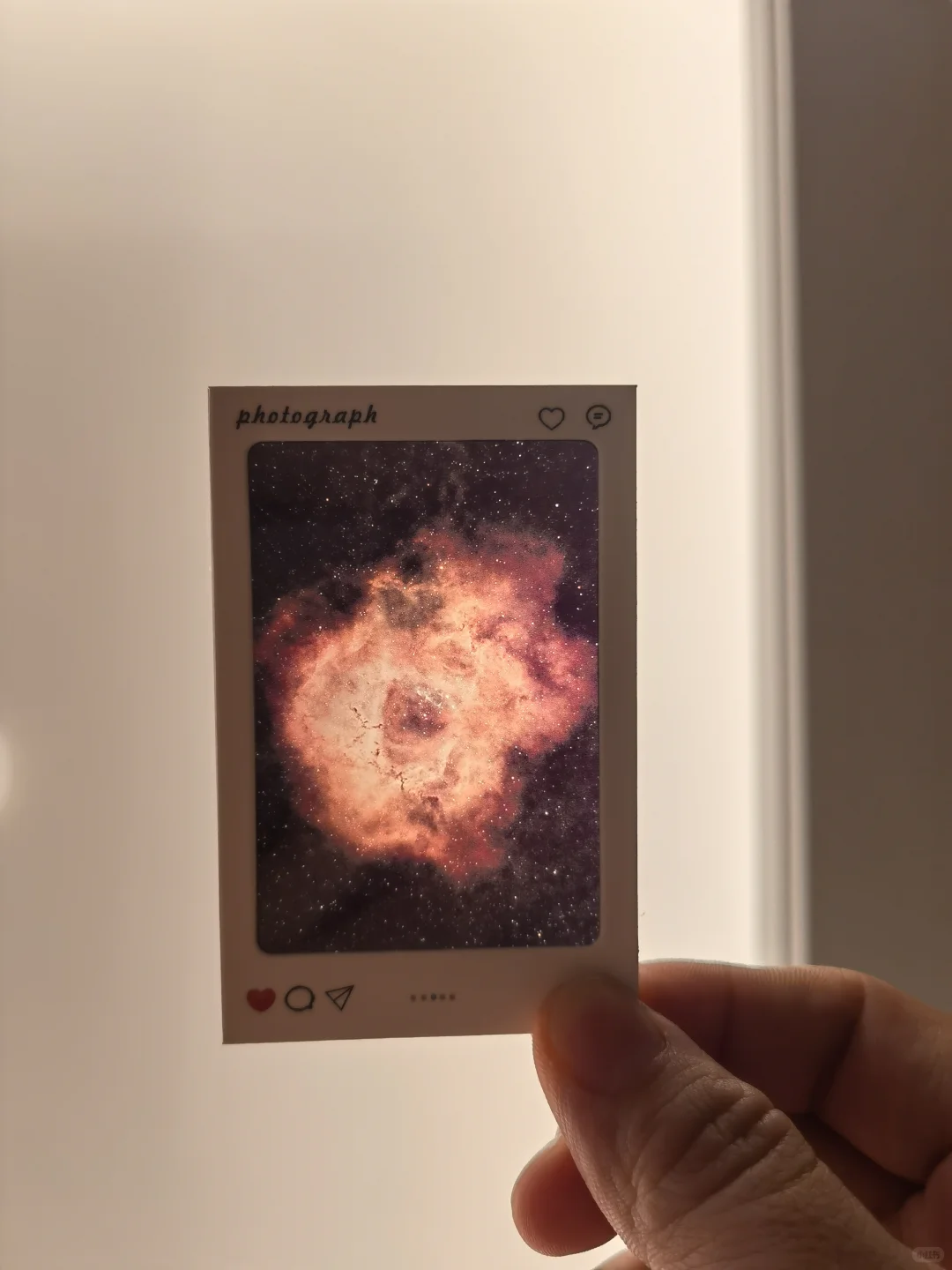 5200光年外的永生玫瑰