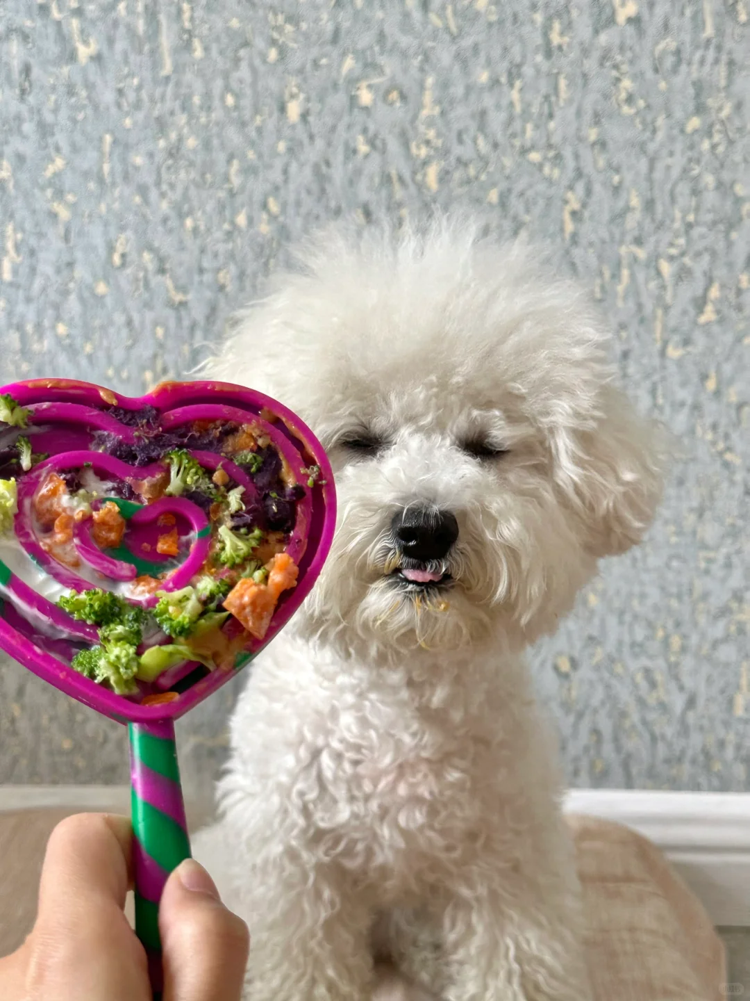 最近在玩的玩具