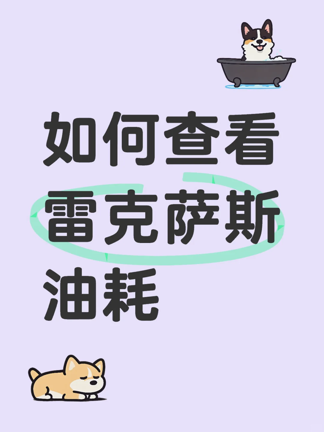 如何查看小雷油耗