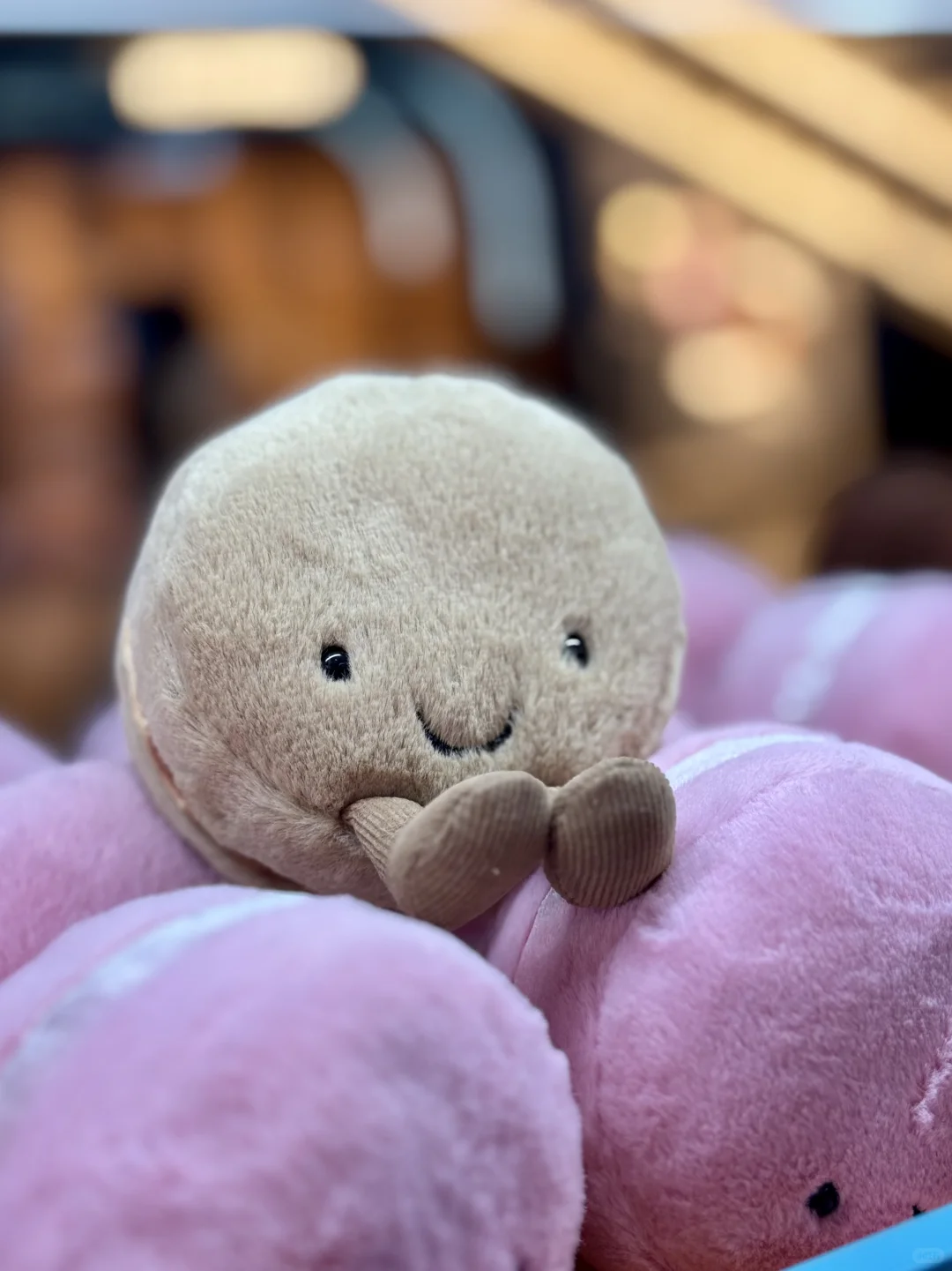 4个毛绒玩具，1700块，我不太理解…