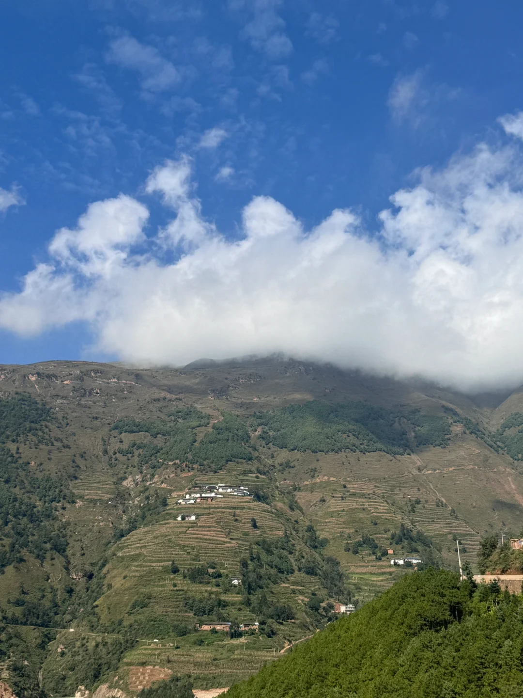 乡镇林业站工作日常｜巡山 赶集 闲适的一天