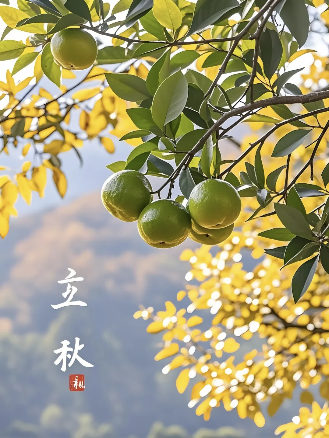 立秋，硕果累累