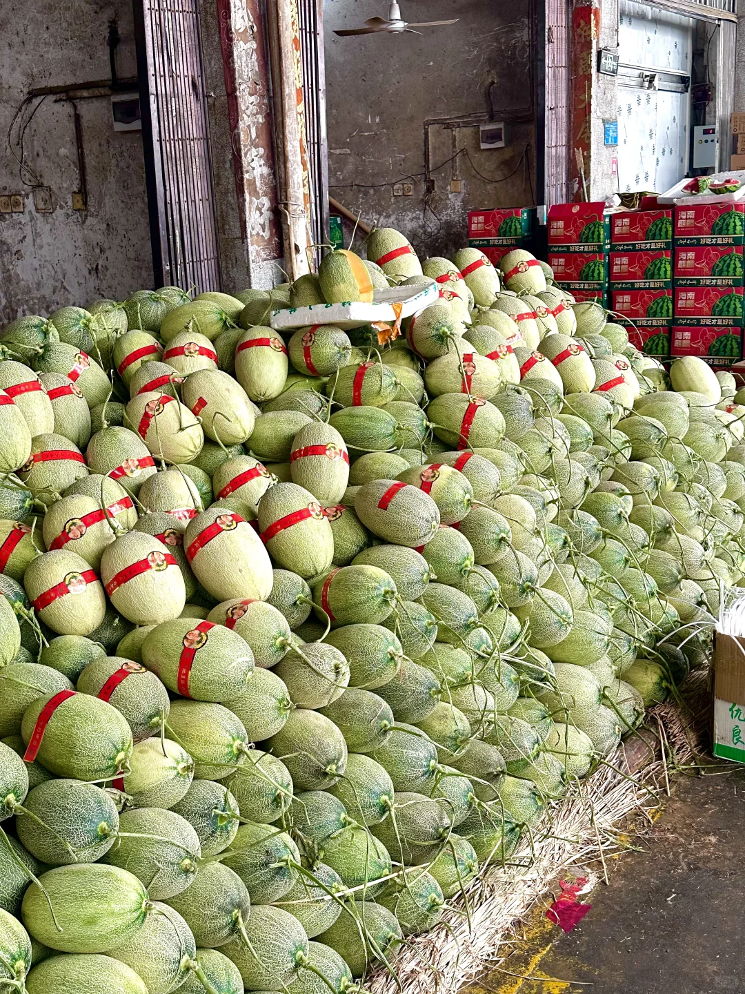 北海｜水果批发市场，我选杭州路市场路边摊❤️
