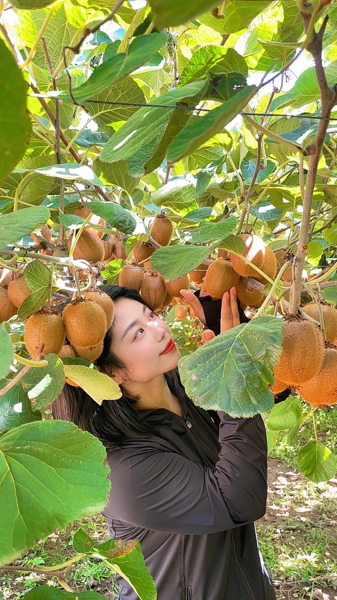 被猕猴桃治愈的季节到了！