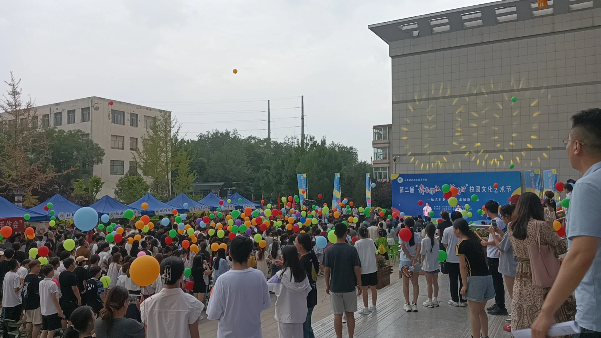 分享在林校一年感悟(致乐观积极的小同学)