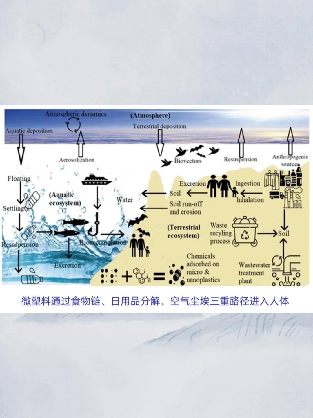 帮你规避99%的微塑料