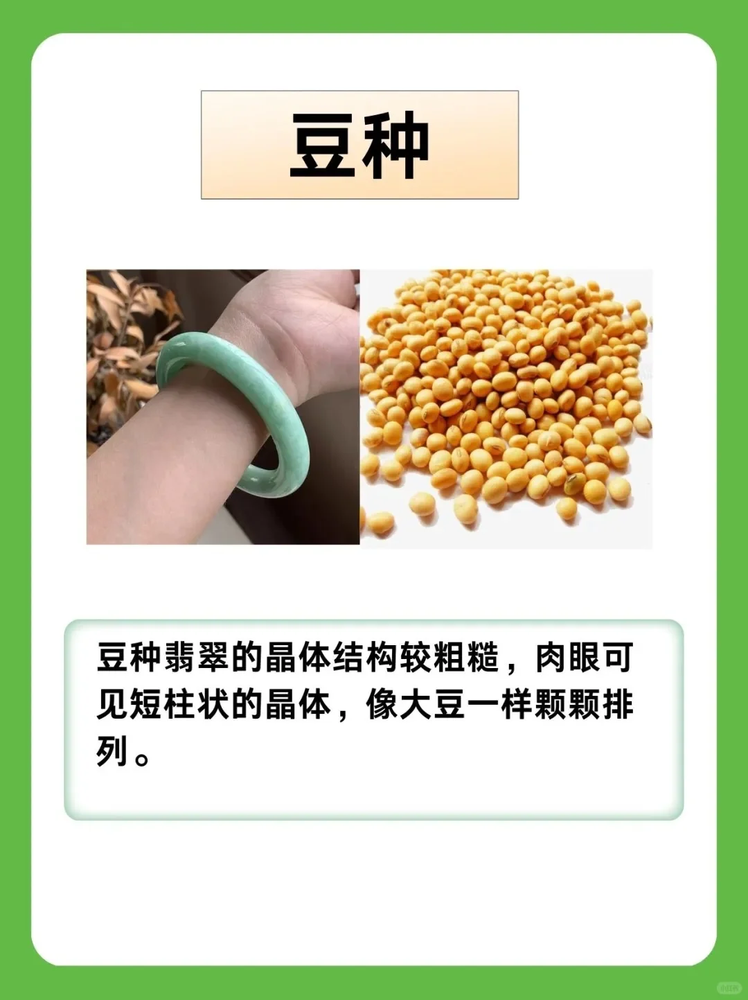 翡翠种水与价格❗️新手小白可别买贵了。