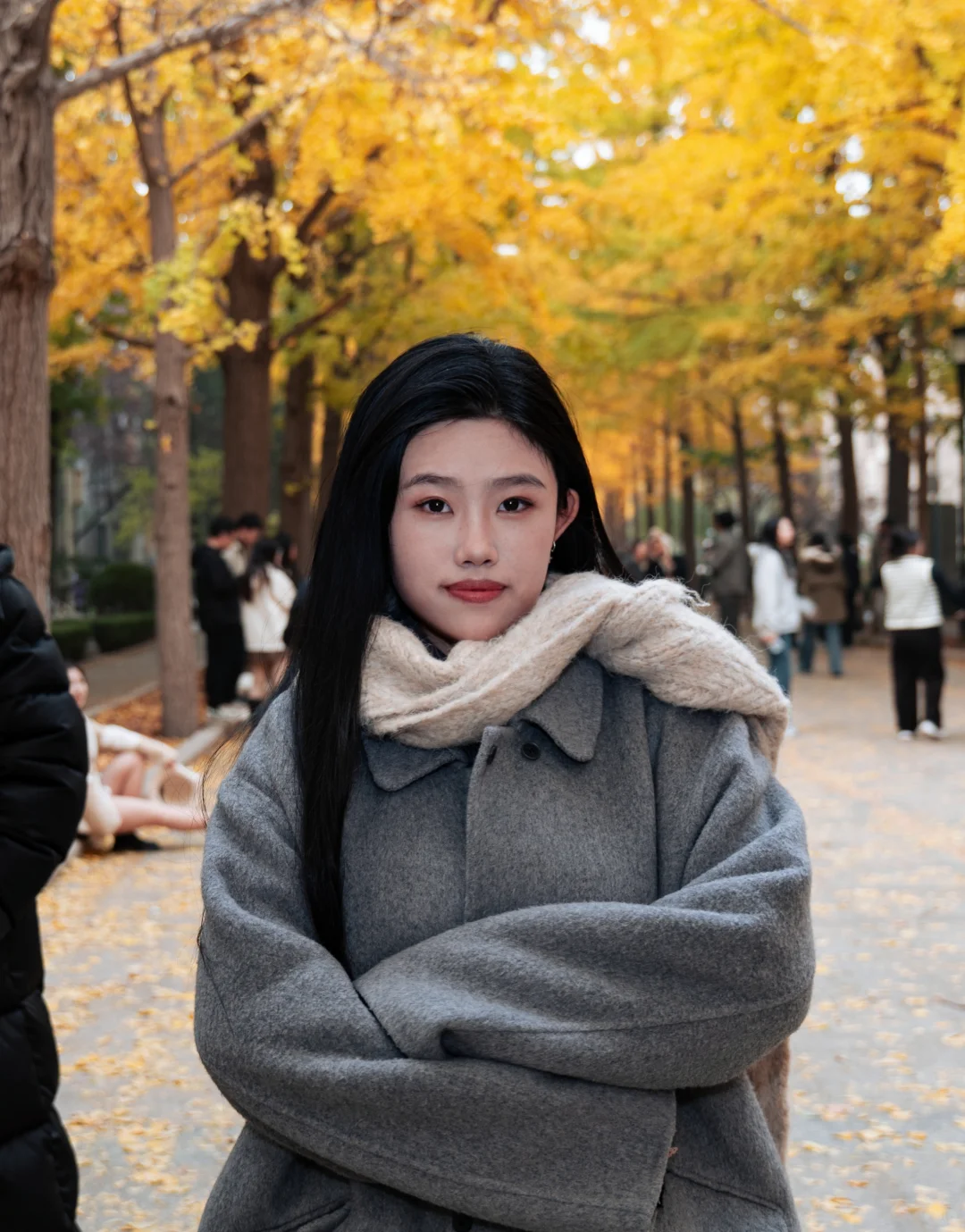 北林大三｜宝利来和银杏大道的适配度