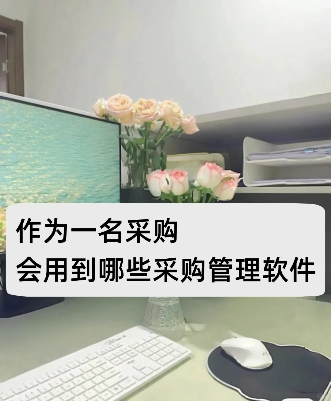 作为一名采购，会用到哪些采购管理软件？