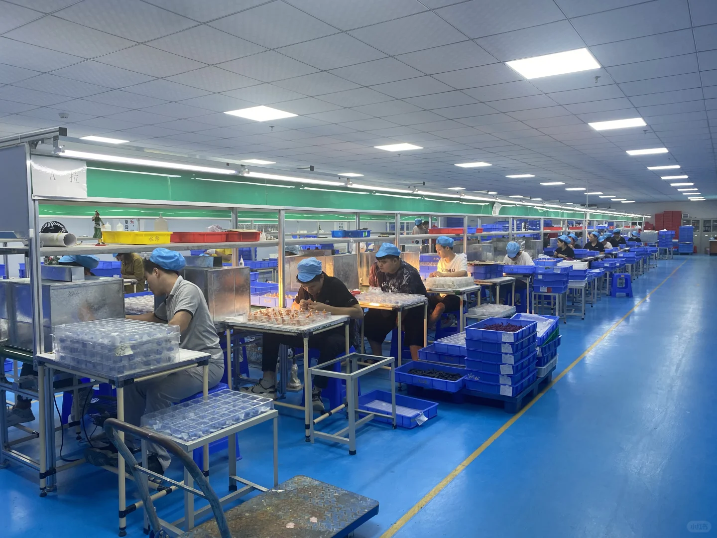 在这里工作班味应该不会太重吧