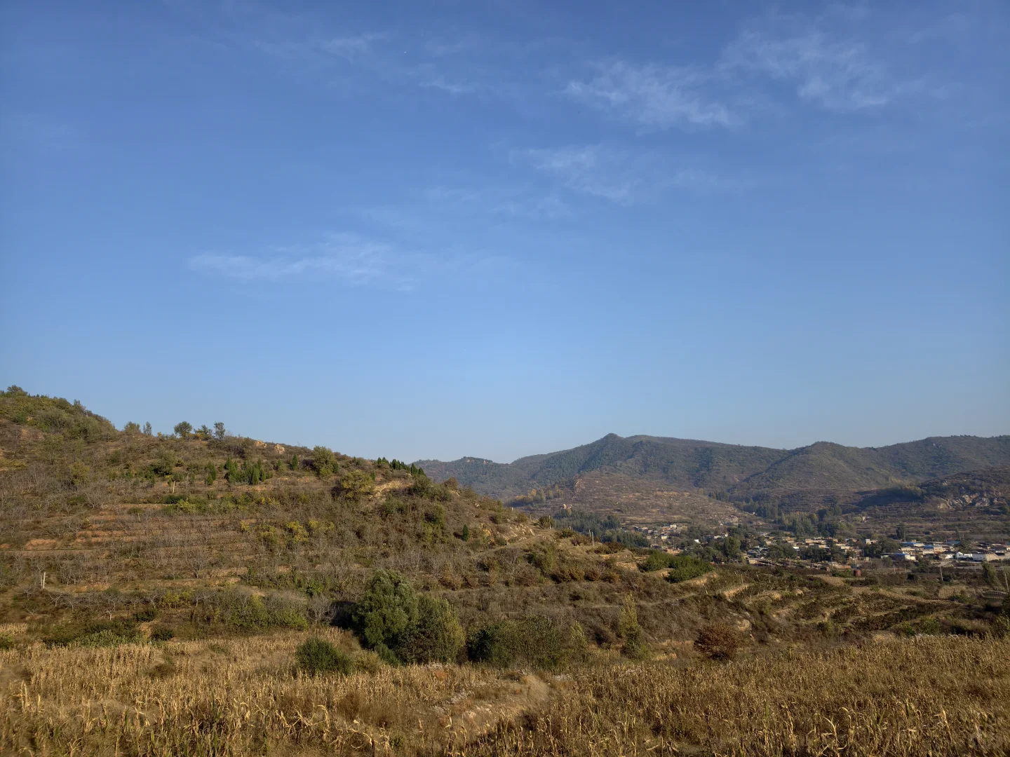 浅浅分享林业工作者的工作日常