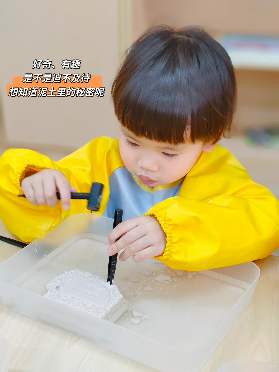 托班课程—寻宝日：科学探索《小小考古家》