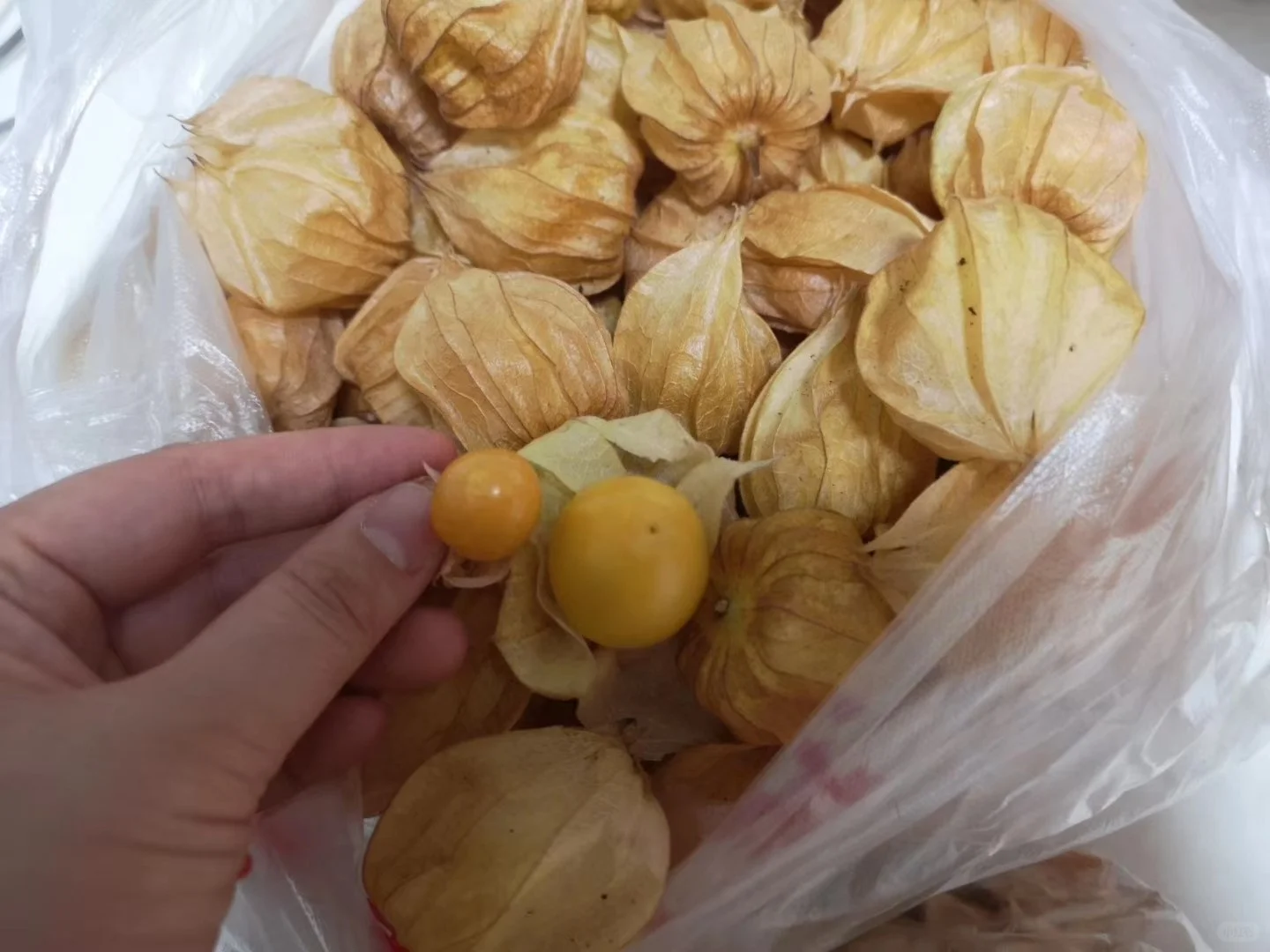 聊一聊今年神奇的水果