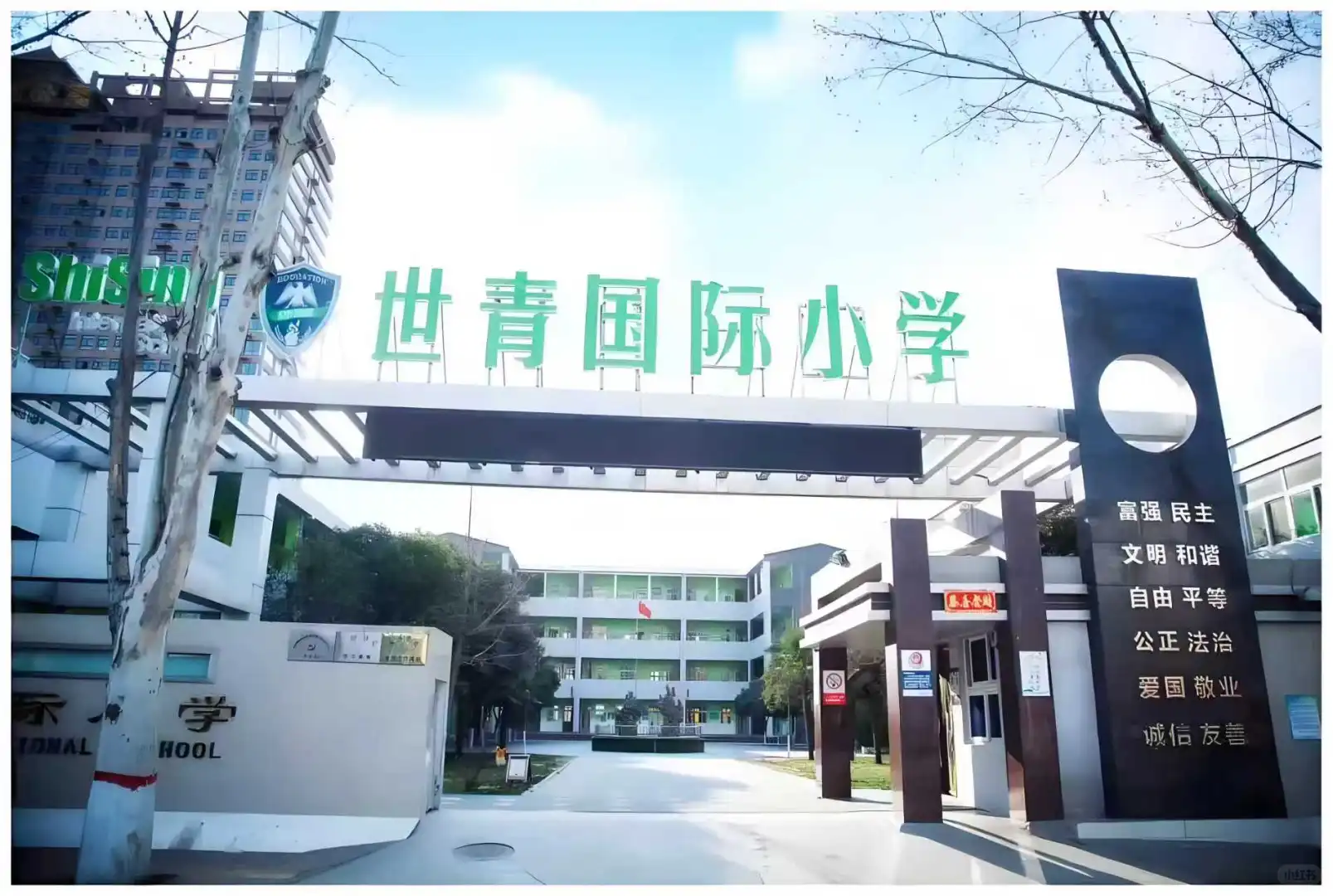 张力式电子围栏世青国际学校校园周界安全