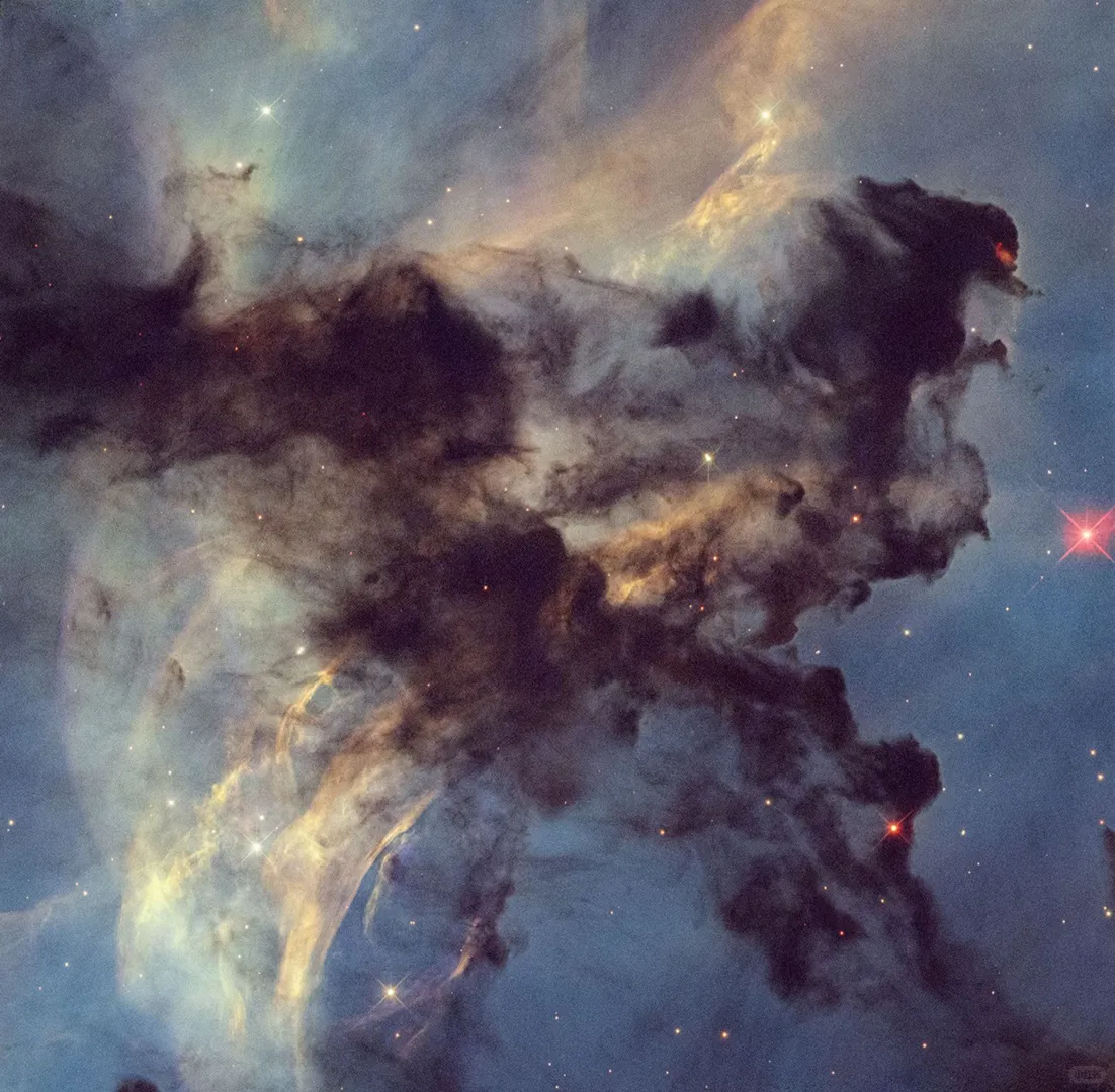 5200光年外的永生玫瑰