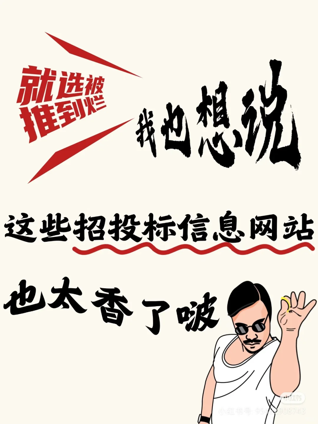 说烂了我也想告诉你们的招投标信息网站!