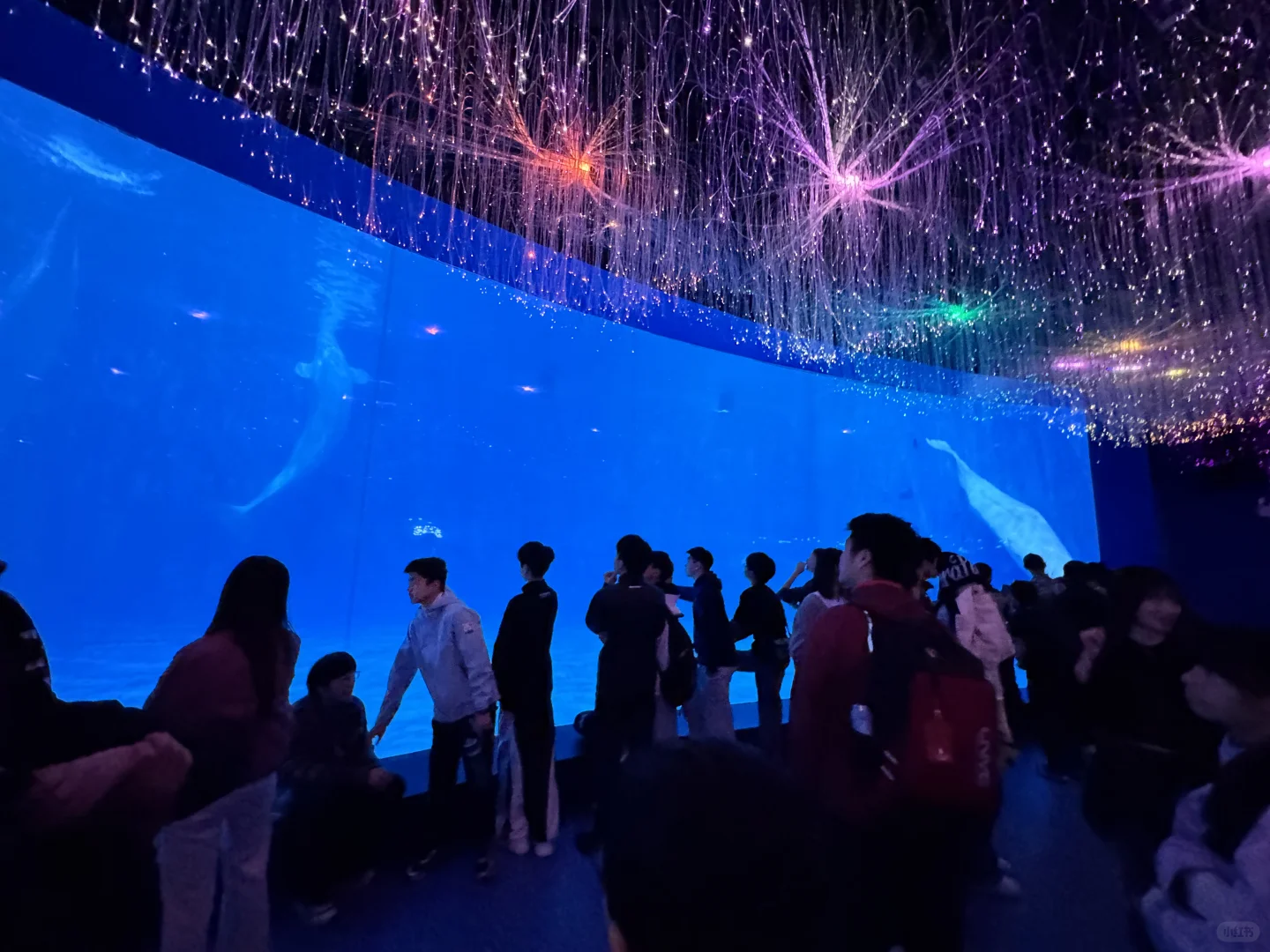 ?变革者之周研学之旅:山东青岛