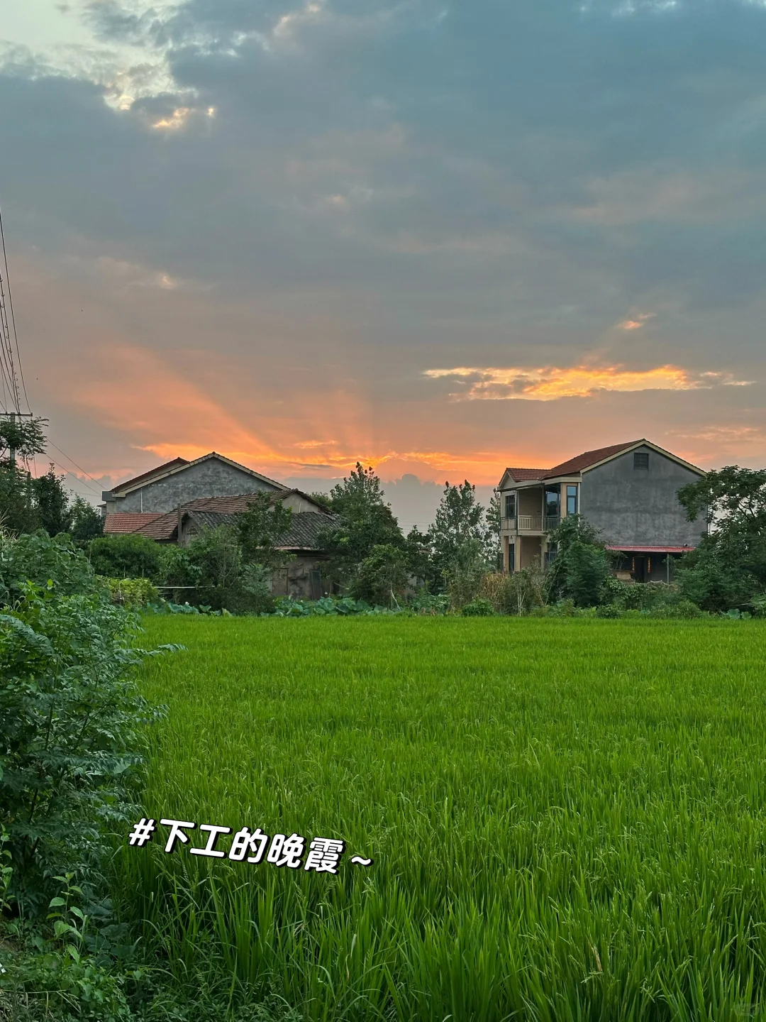鸡叫城考古plog丨沉浸式挖土进行时?