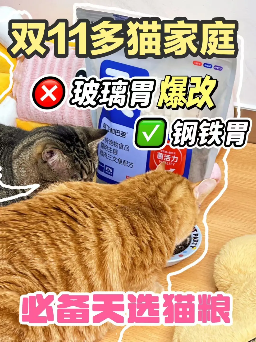 多猫家庭必看,性价比猫粮被我挖到了!