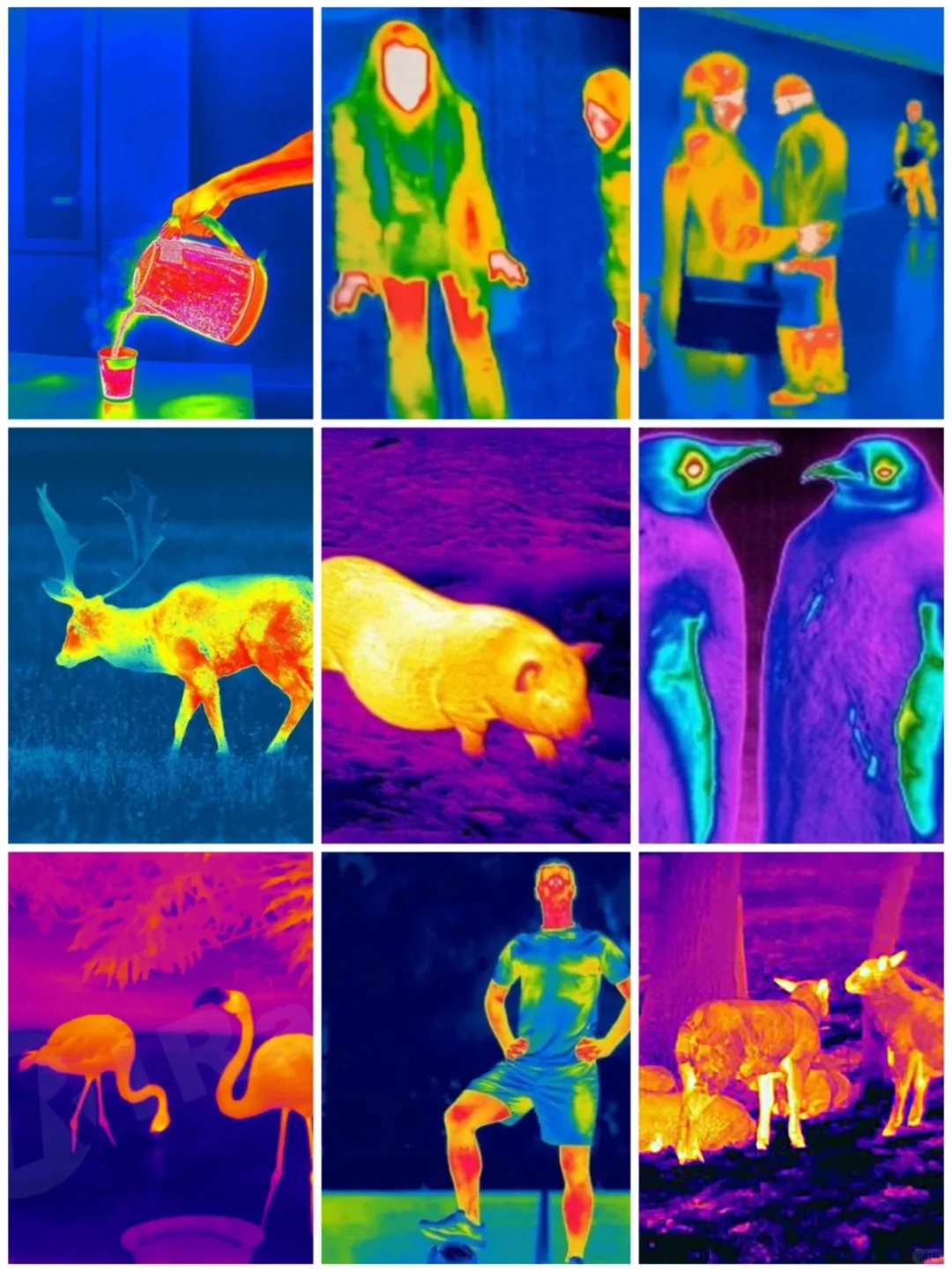 红外热成像技术在各个领域的应用