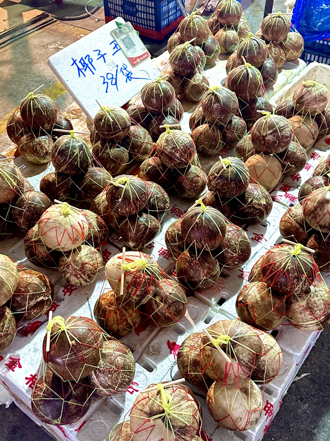 北海｜水果批发市场，我选杭州路市场路边摊❤️