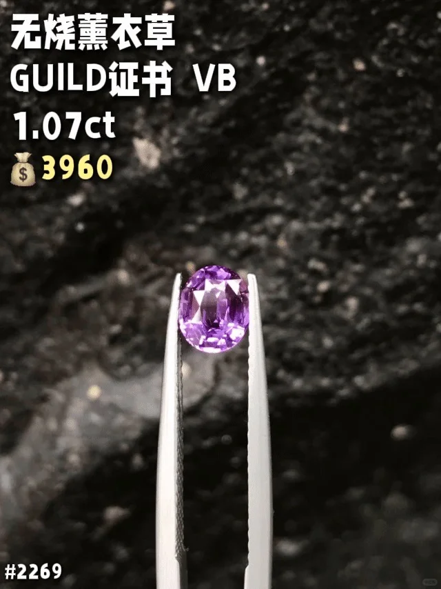 水贝无烧紫蓝宝石单颗批发价格