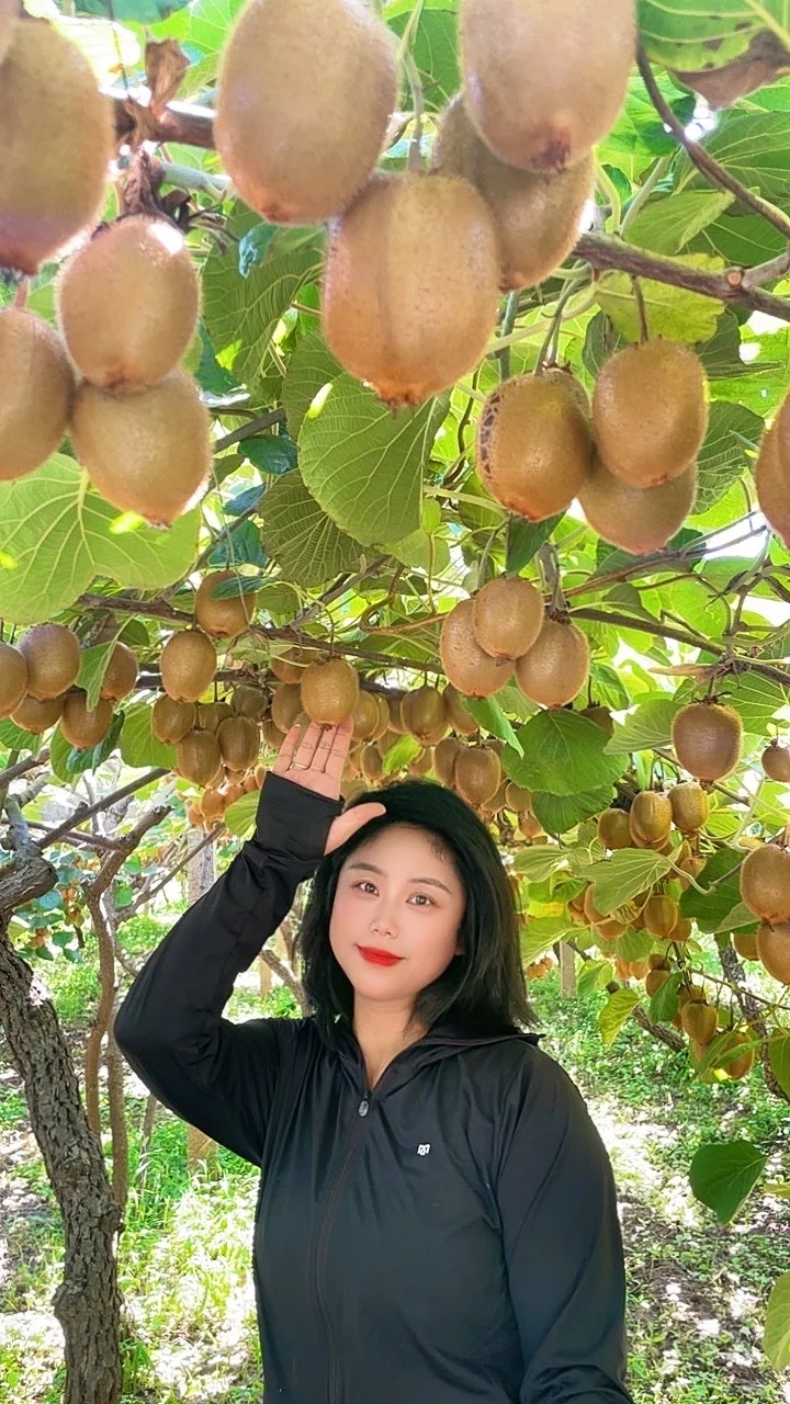 被猕猴桃治愈的季节到了！