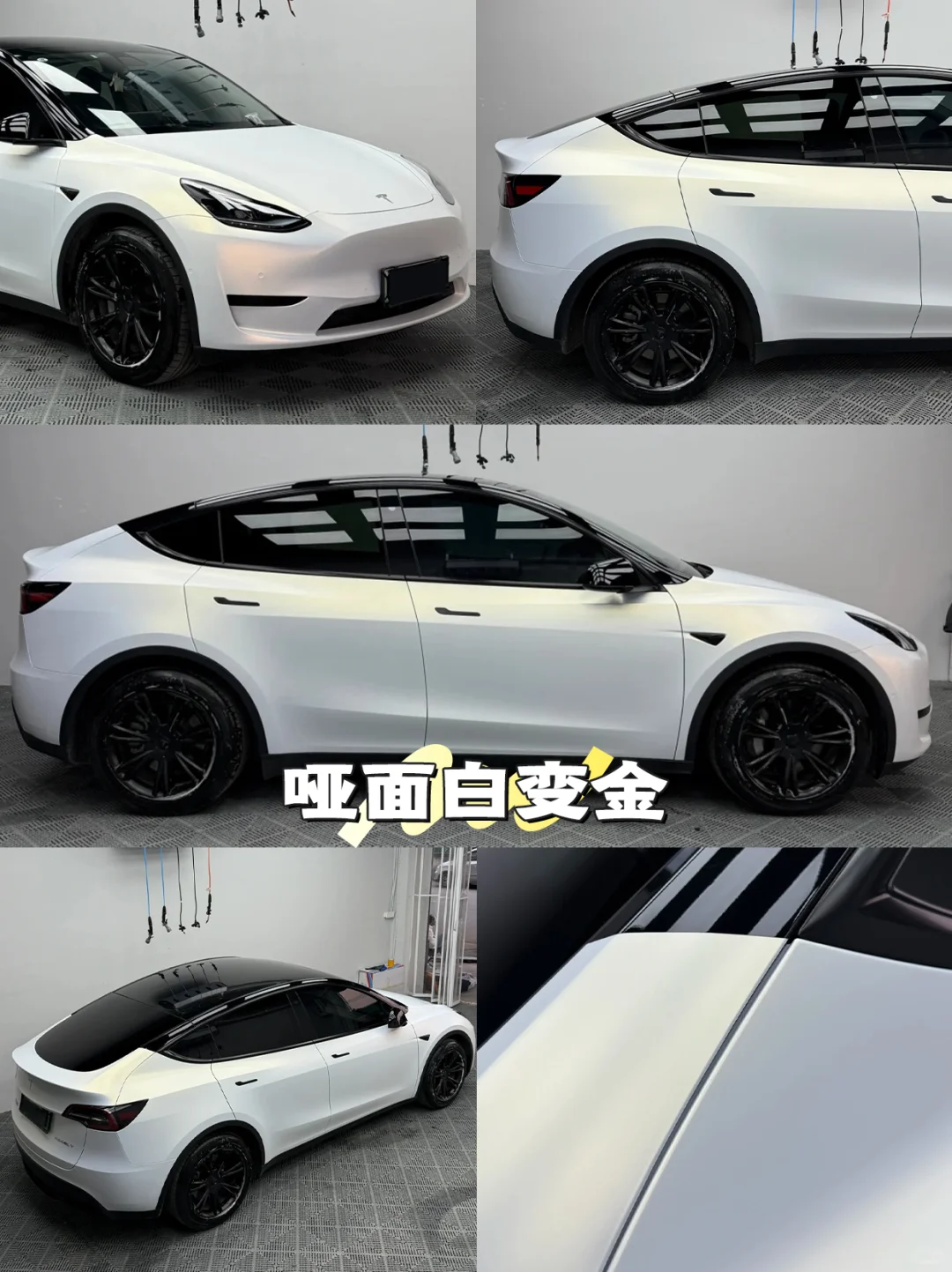 特斯拉改色｜会变色的白才叫高级?