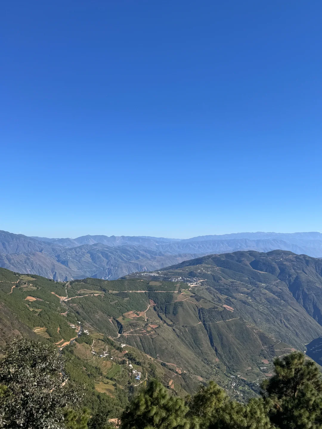 乡镇林业站工作日常｜巡山 赶集 闲适的一天