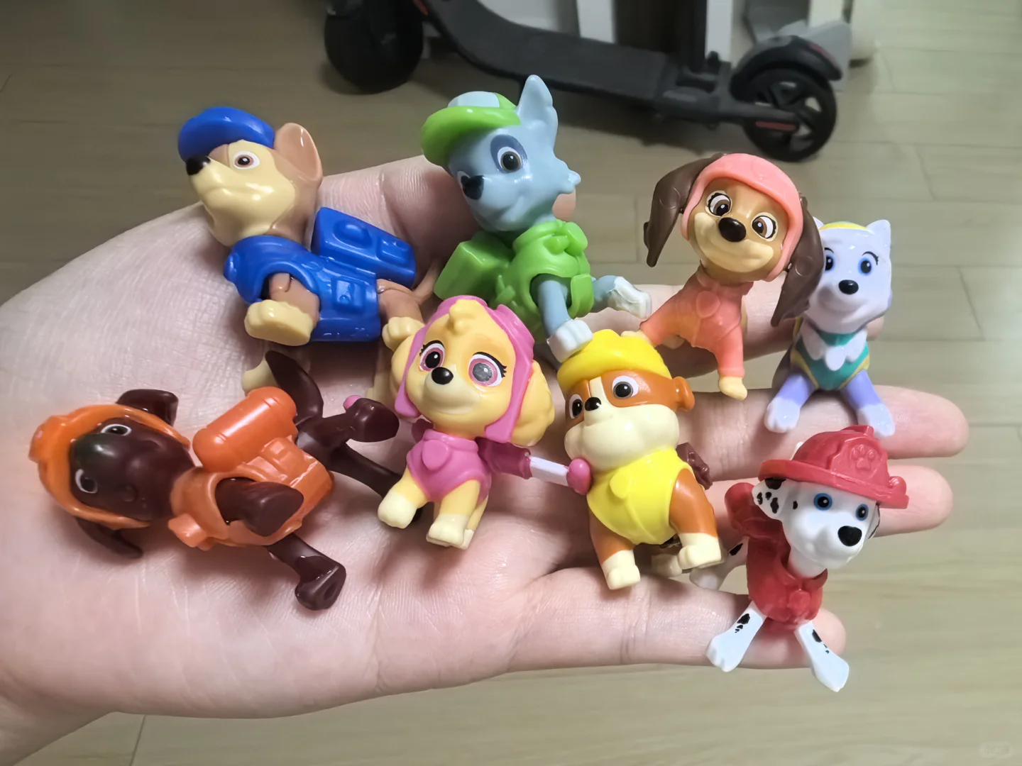 山姆汪汪队上大分