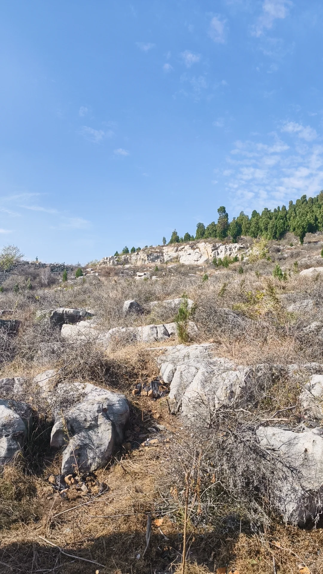 浅浅分享林业工作者的工作日常
