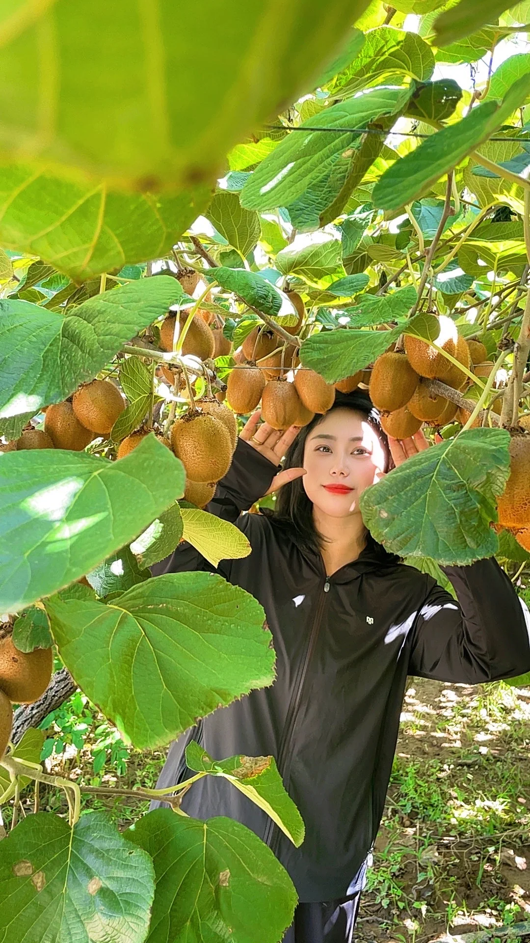 被猕猴桃治愈的季节到了！