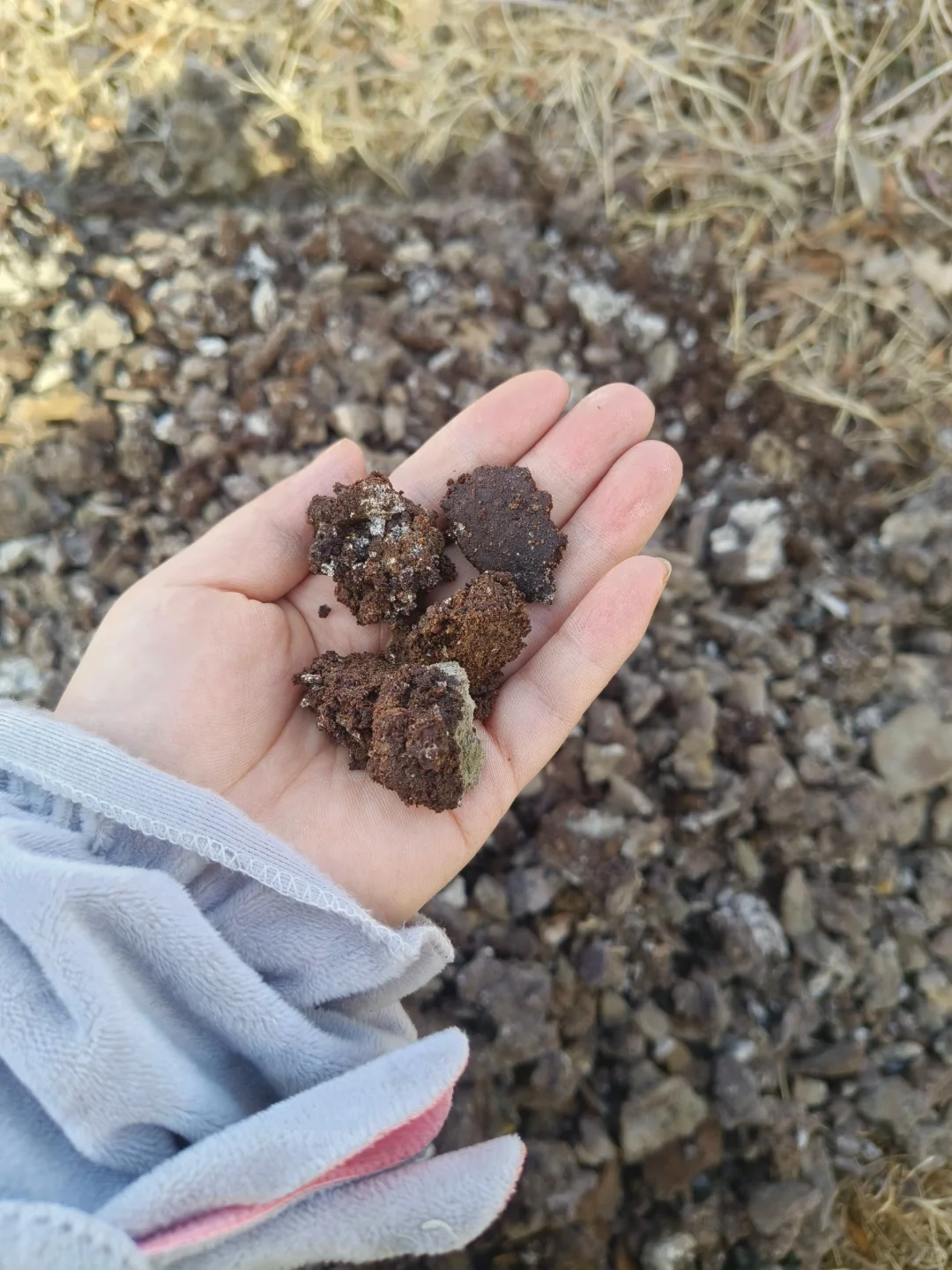 我的第一个西安团购群今天成立了