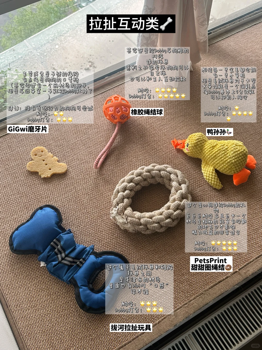 ?均价20+的Dobby玩具分享2.0?｜啃咬互动