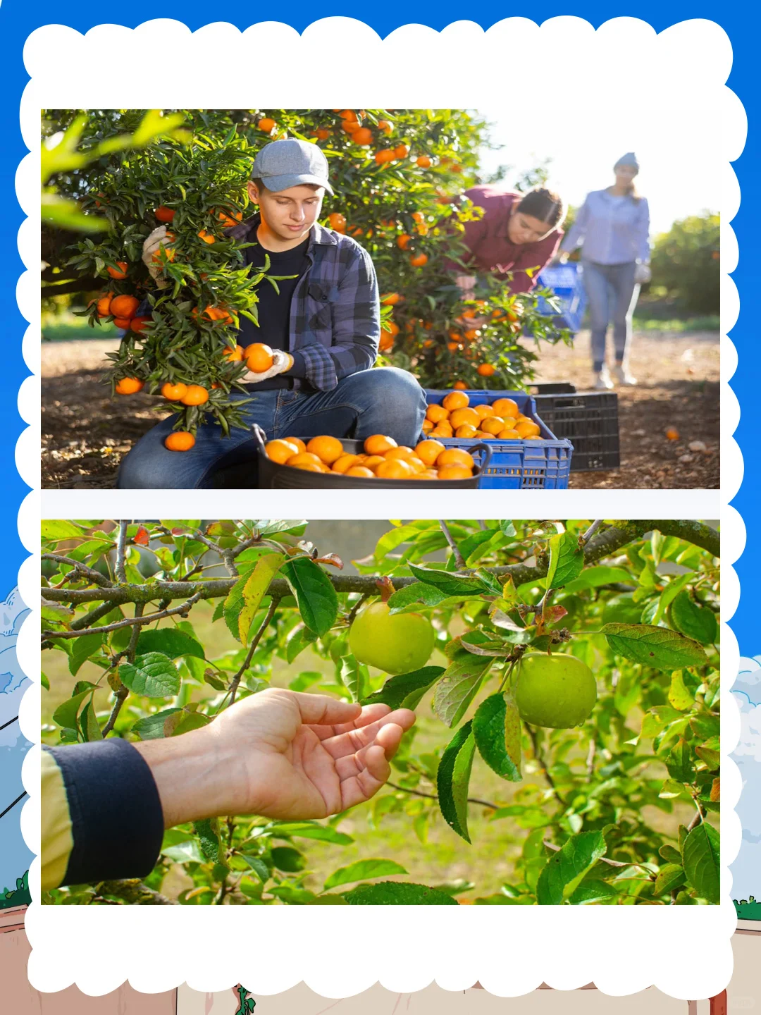 大班社会公开课《大丰收》体会丰收的喜悦