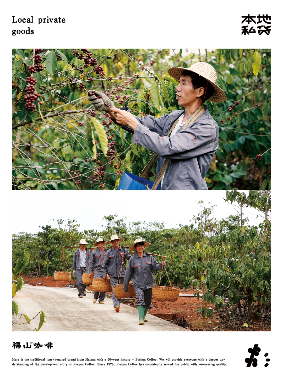 福山咖啡|红土地上的红色果实