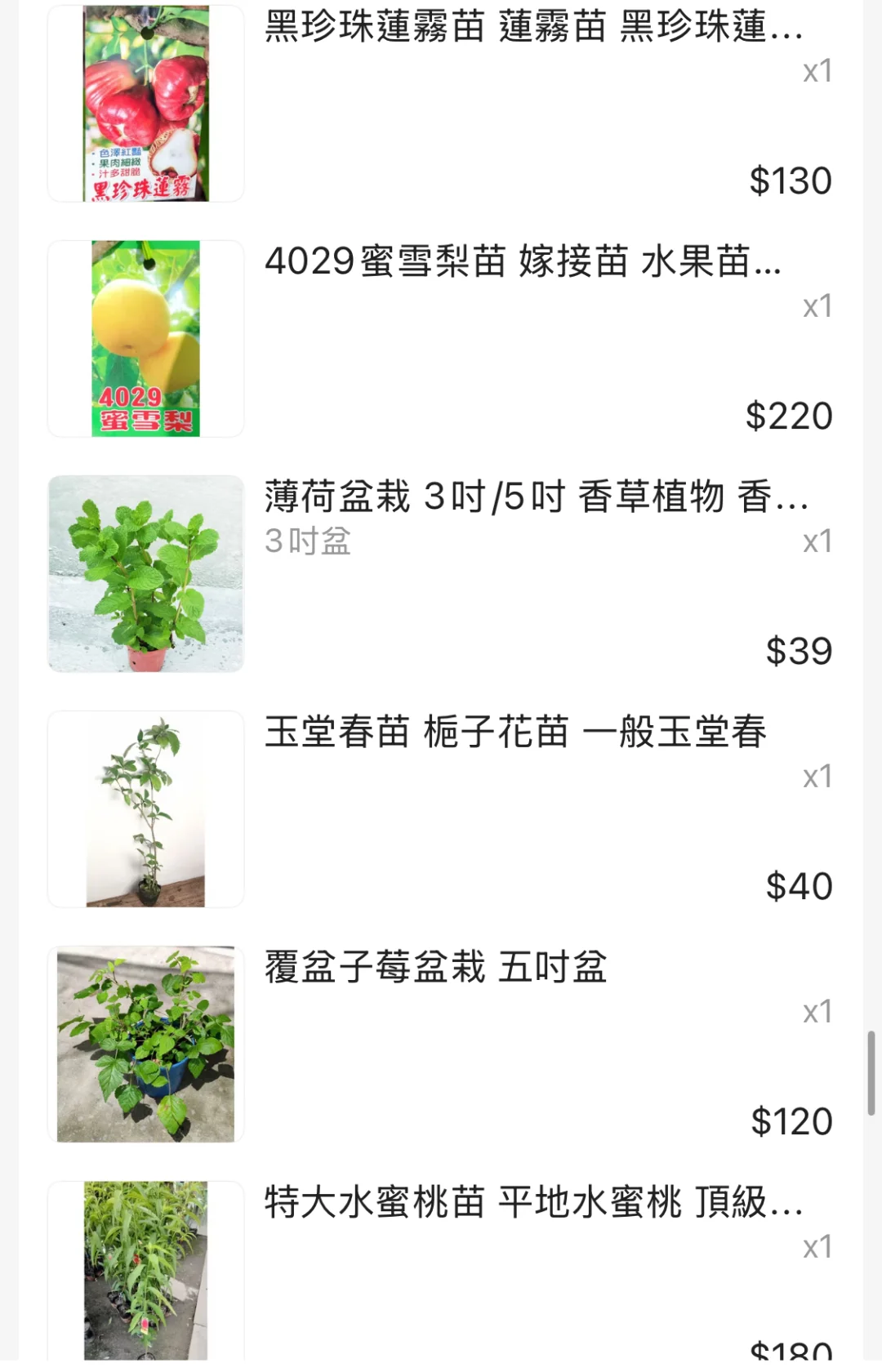 我的快樂農場擁有了30多顆果樹