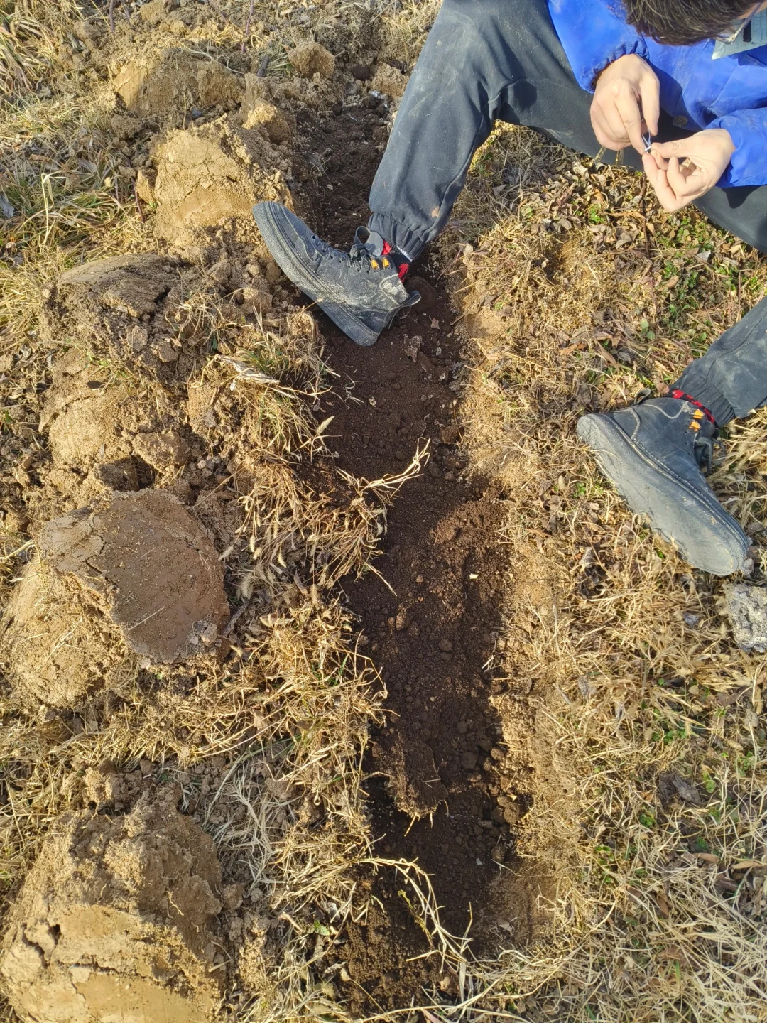 我的第一个西安团购群今天成立了