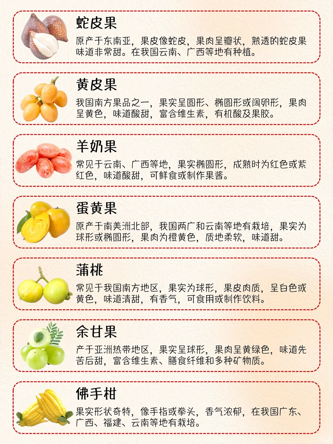 热带水果大集合