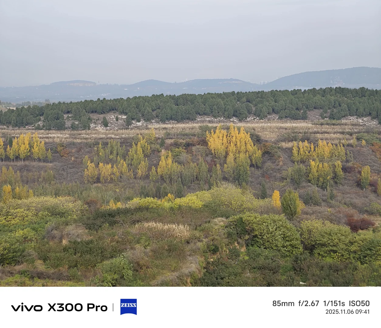 浅浅分享林业工作者的工作日常