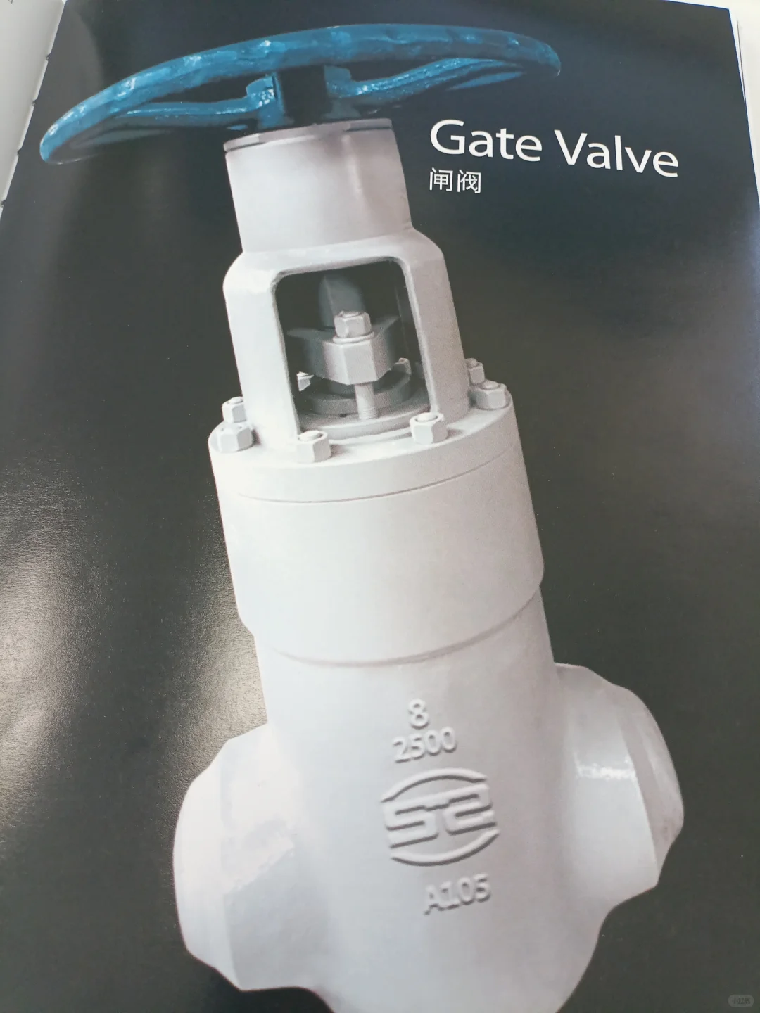 我被闸阀虐的七零八落