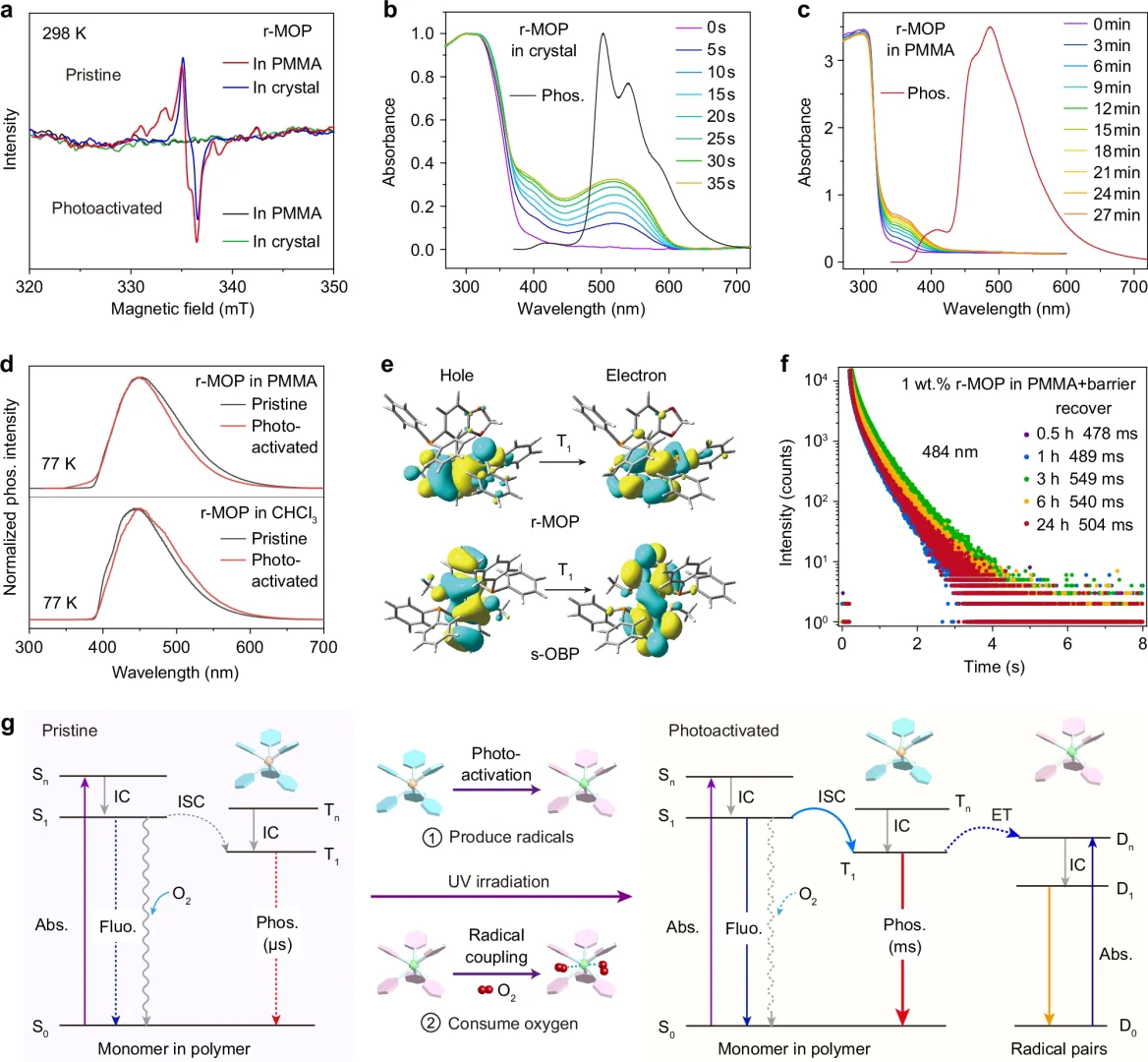 从分子到光影：自由基驱动的可编程有机磷光