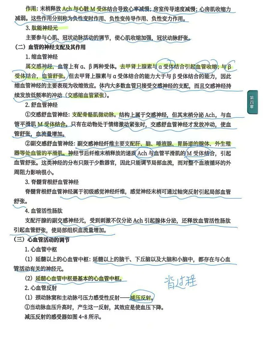 考研415生理带背day16