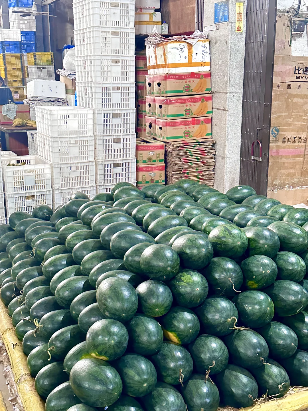 北海｜水果批发市场，我选杭州路市场路边摊❤️