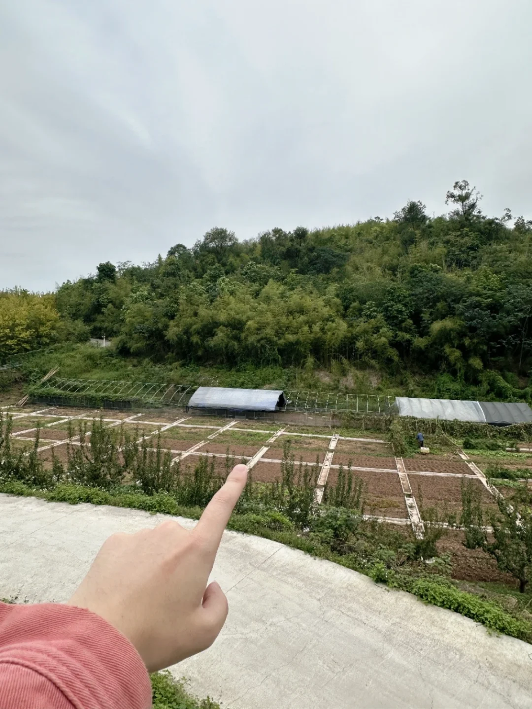 重庆周边游｜享田园静谧时光～