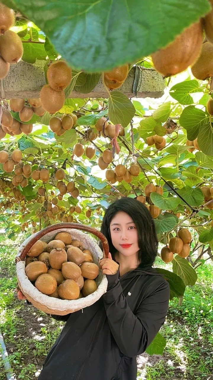 被猕猴桃治愈的季节到了！