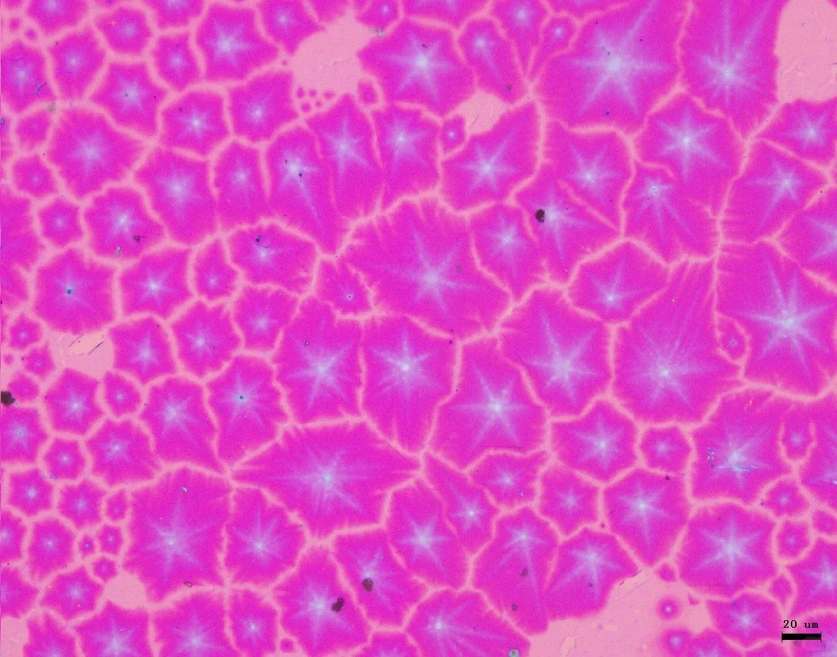 #二维材料[话题]##石墨烯[话题]##CVD[话题]