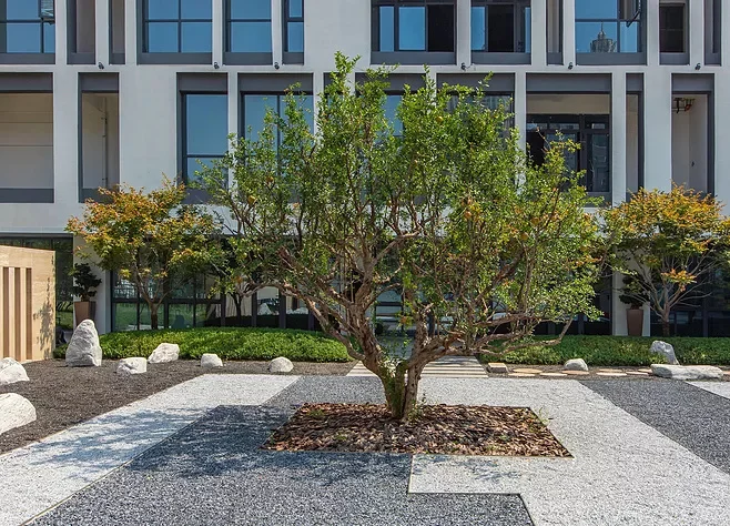 常用园林果树【下】