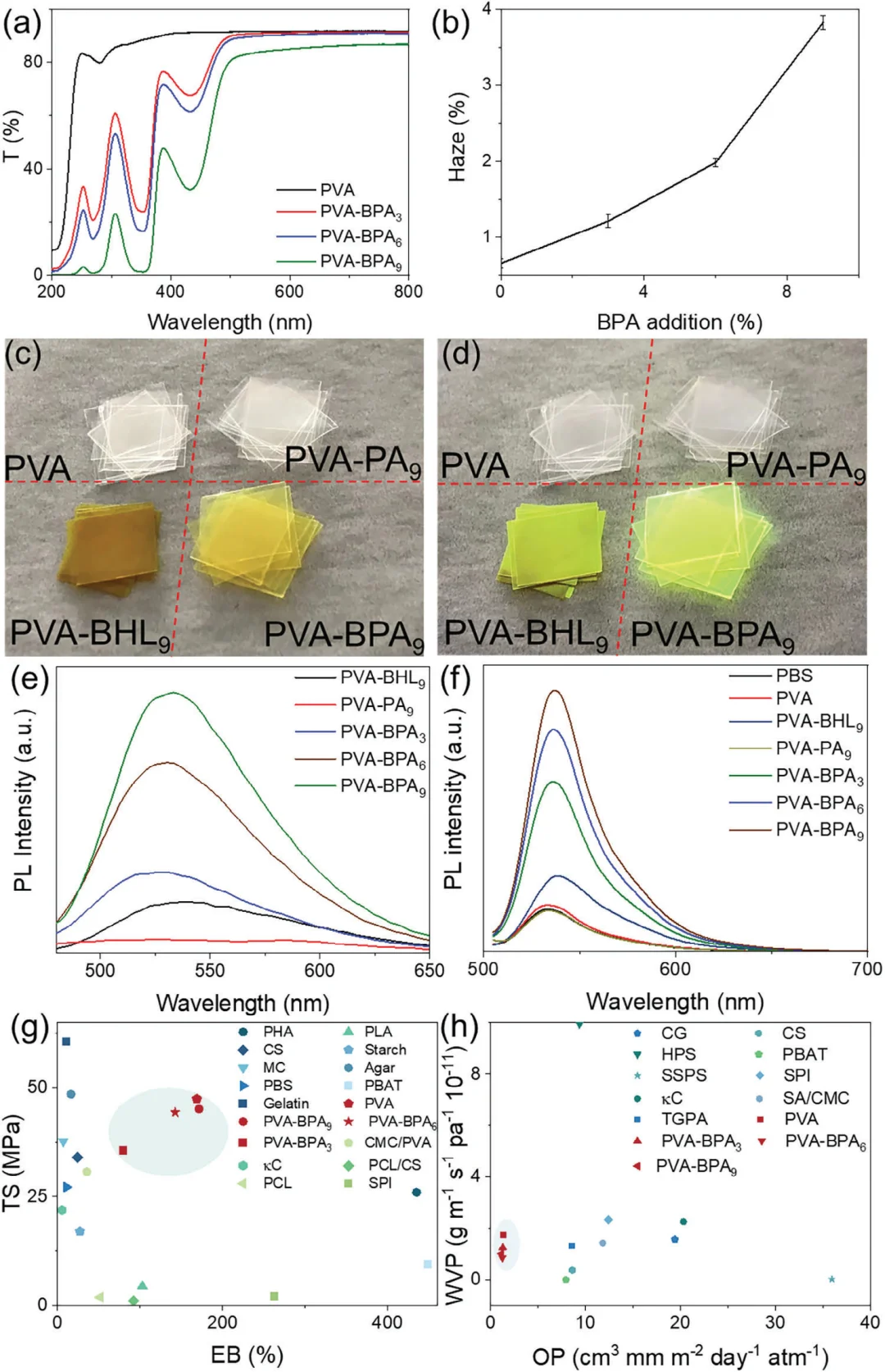 会发光的保鲜膜？抗菌黑科技✨