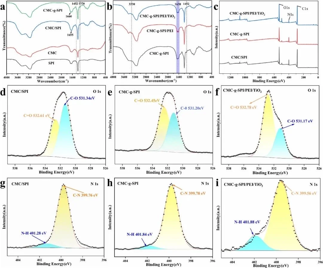 【学术聚焦】高性能生物基复合薄膜!